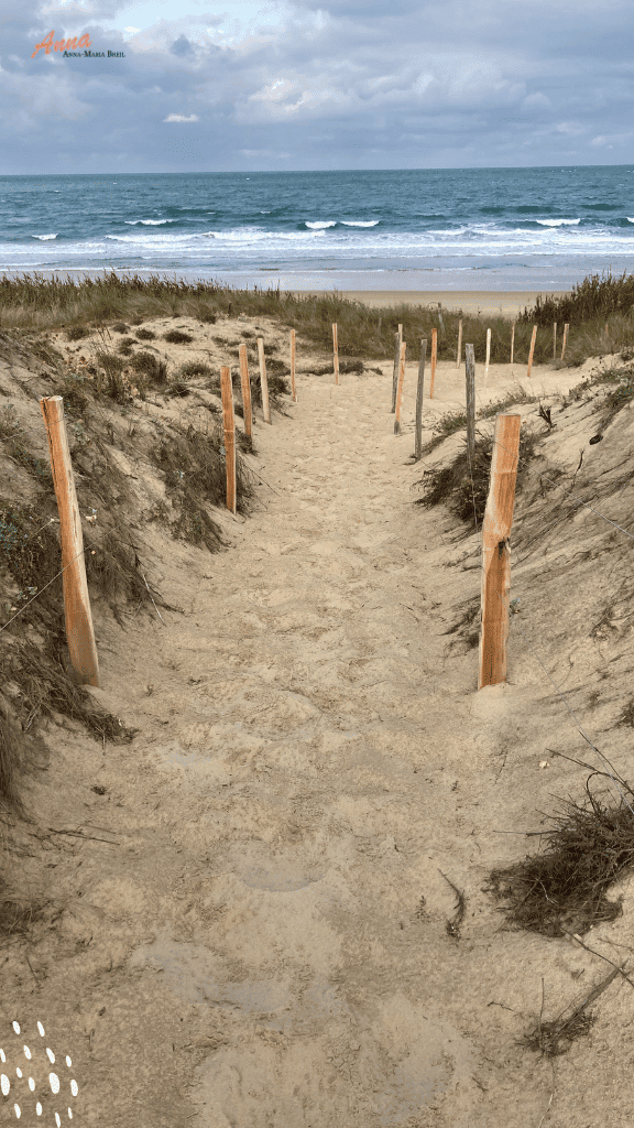 Strandweg Atlantik Laufstrecke am Atlantik im Sand durch die Dünen