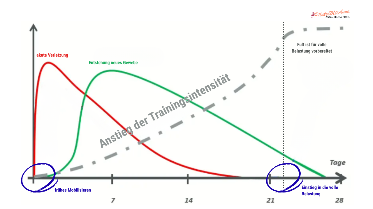 Trainingseinstieg nach einer Bänderdehnung im Fuß Trainingseinstieg nach einer Bänderdehnung im Fuß